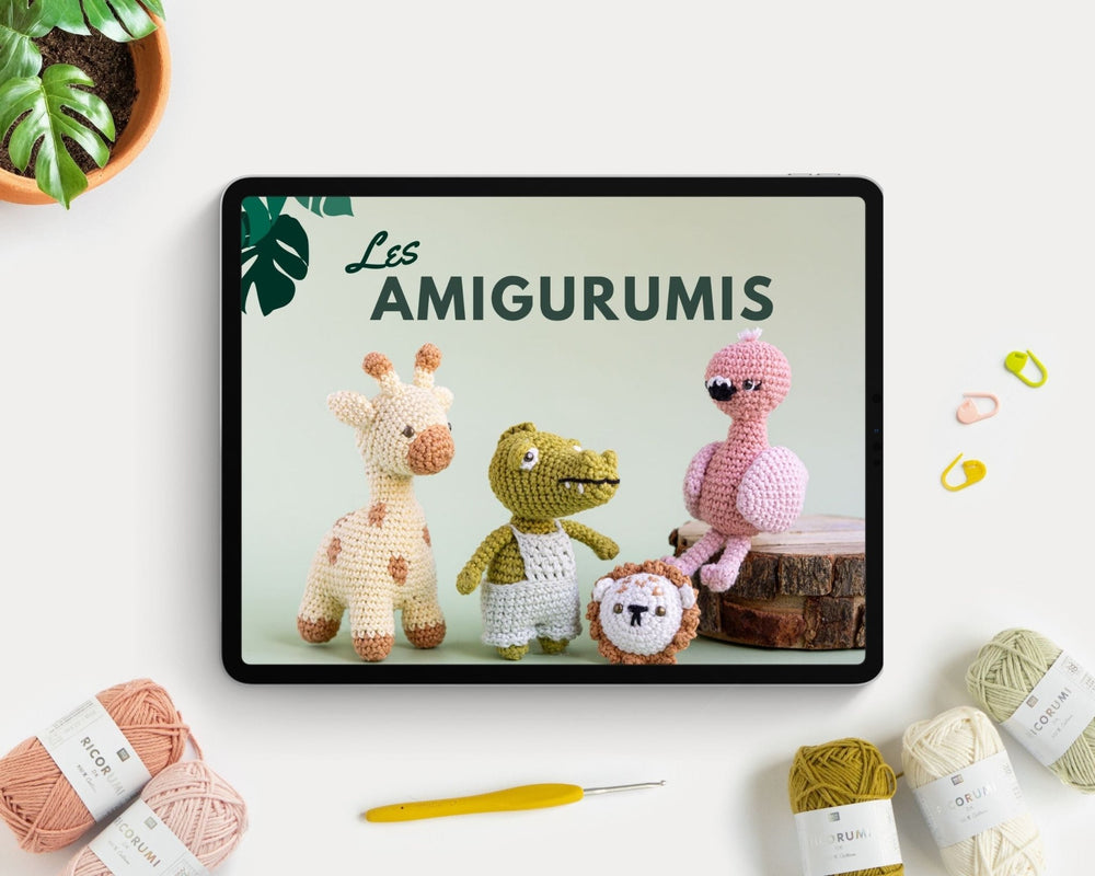 Cours de crochet "Les Amigurumis"