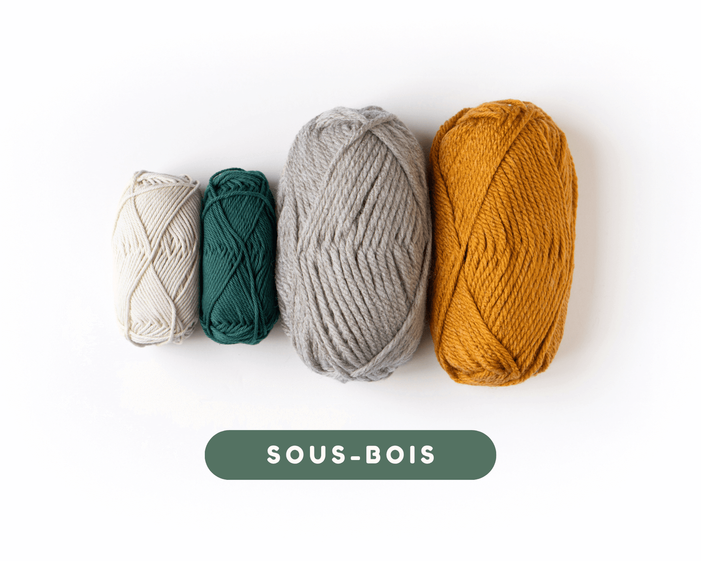 Le kit "COMMENT CROCHETER"