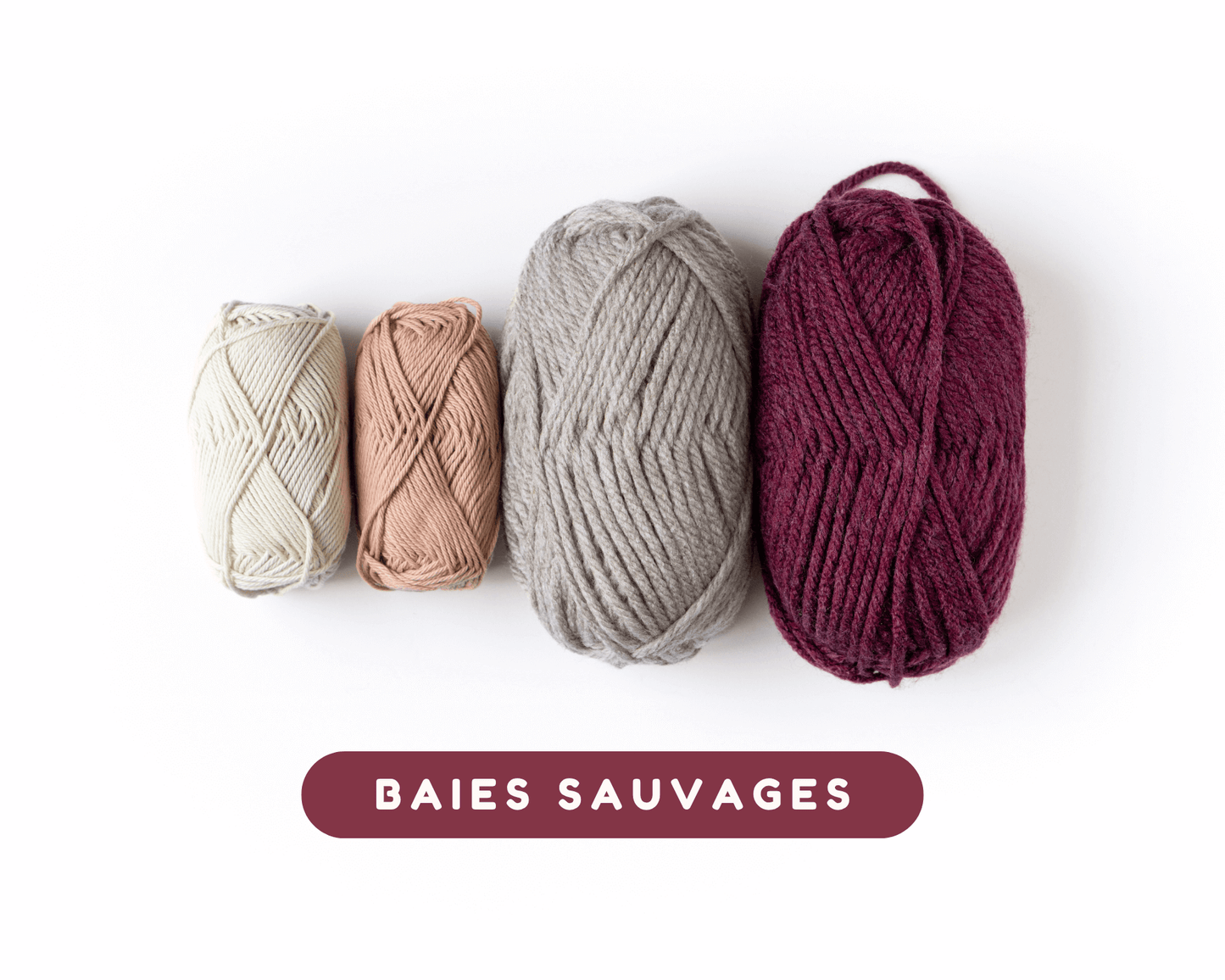 Le kit "COMMENT CROCHETER"