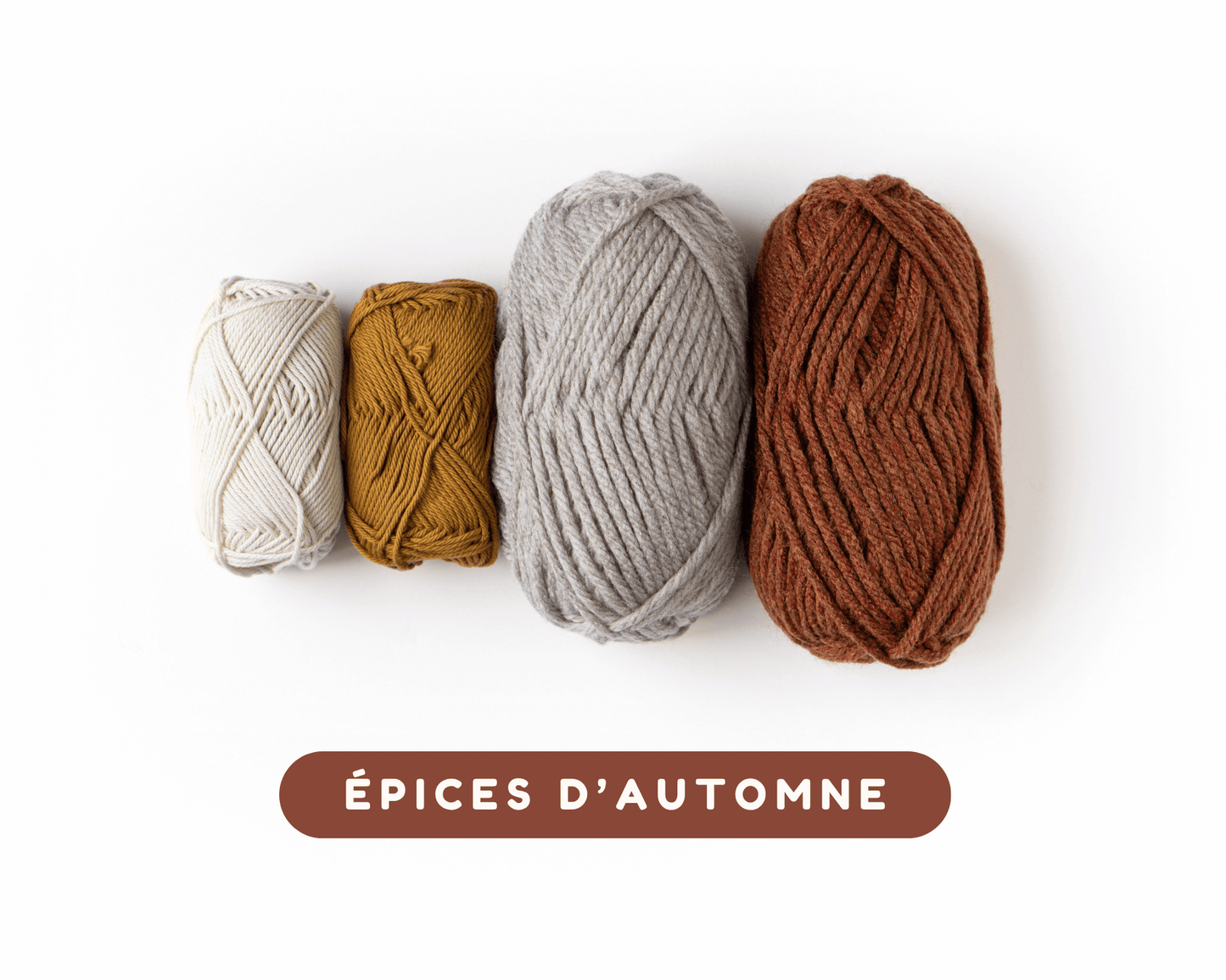 Le kit "COMMENT CROCHETER"